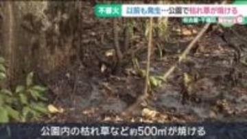 名古屋市内の公園で枯草が燃える不審火　去年3月から3回目　警察は関連を捜査