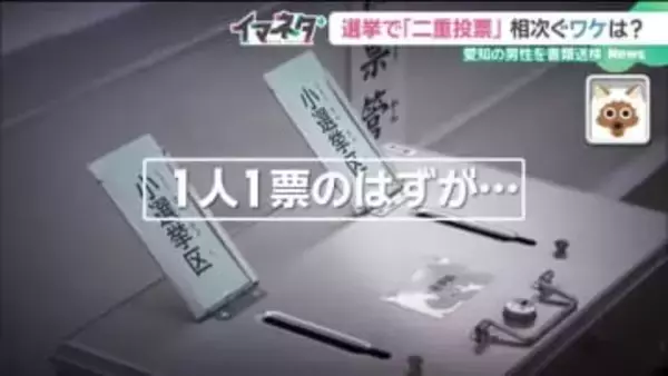 国政選挙で二重投票・なりすまし投票の摘発相次ぐ　専門家「SNSの投稿が不正を助長」 対策を求める声も