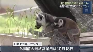 日本モンキーセンターが長期休園まで100日でカウントダウンのイベント　愛知県犬山市