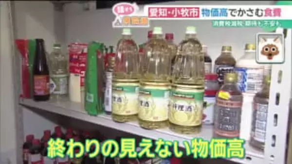 終わりの見えない物価高で現場はやりくりに疲労　消費税減税で生活はどう変わる?　各党の公約は