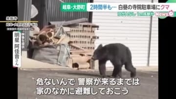 寺の駐車場に約1メートルの成獣のクマが現れる　約2時間半居座り　岐阜県大野町