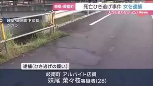 岐阜県岐南町で男性をひき逃げし死亡させた疑いで28歳の女逮捕　「事故はしましたが人だと思わなかった」