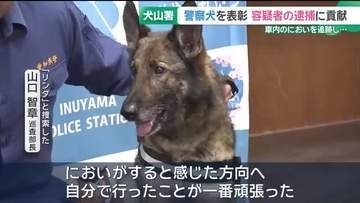 逃走中の容疑者を発見！ 愛知県警のシェパード・リンダ号が表彰される　ご褒美は…？
