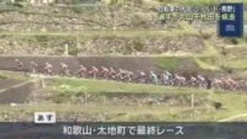 丸山千枚田で自転車の国際大会「ツール・ド・熊野」　厳しい登りを疾走