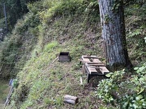 愛知・豊田市でツキノワグマの親子が目撃　３日前には豊田市で男性がクマに襲われ重傷を負う被害も