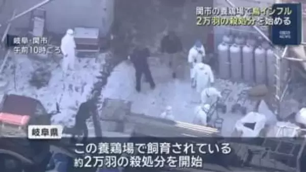 鳥インフルの陽性を確認　2万羽の殺処分を始める　岐阜県の養鶏場
