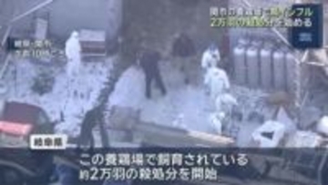 鳥インフルの陽性を確認　2万羽の殺処分を始める　岐阜県の養鶏場