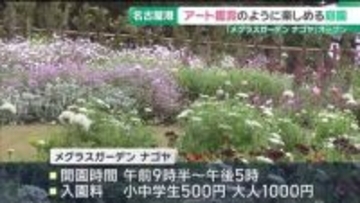 名古屋港付近の庭園施設「メグラスガーデン ナゴヤ」がリニューアル