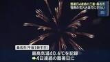 「酷暑日でも…花火大会にぎわい　4日連続40℃以上の三重・桑名市」の画像1