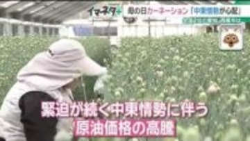 母の日のカーネーションにも中東情勢の影響　燃料や包装フィルムに不安が　全国2位の生産地の愛知・西尾市