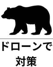 ドローンで”犬の鳴き声”、”追い払い花火”を発射　クマへの新対策を実施へ　岐阜県