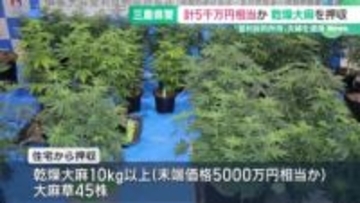 押収された乾燥大麻はで5000万円相当か　乾燥大麻を営利目的で所持した疑い　夫婦を逮捕