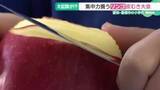 「小学校で伝統行事「リンゴ皮むき大会」 今年は13ｍ85cmの大記録が誕生　愛知・豊橋市の富士見小」の画像1