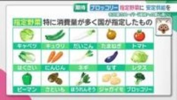 ブロッコリーが国の“指定野菜”に　消費者のメリットは？ 1974年のジャガイモ以来52年ぶりの追加