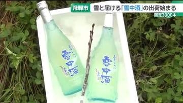 雪と桃の小枝を一緒に…「雪中酒」の出荷が岐阜・飛騨市で始まる　3000本限定