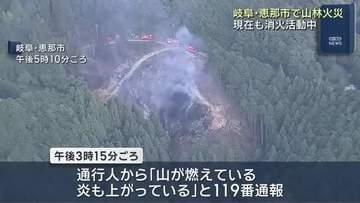 「山が燃えている」初期消火にあたった人がやけど　岐阜県恵那市で山林火災