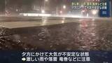 「夕方にかけて急な激しい雨や落雷・突風に注意　大気の不安定な状態が続く　東海地方」の画像1