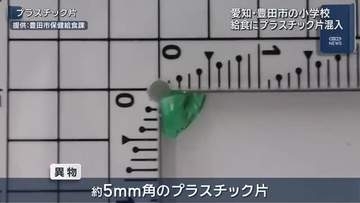 愛知・豊田市の小学校給食に５ミリ角のプラスチック片が混入　健康被害の報告なし