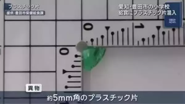 愛知・豊田市の小学校給食に５ミリ角のプラスチック片が混入　健康被害の報告なし