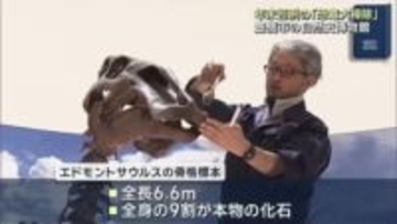 はけやブラシで…年末恒例の「恐竜の大掃除」 愛知・豊橋市の自然史博物館　ボランティアも参加