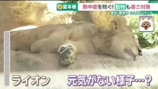 厳しい暑さでヘトヘト　動物たちも熱中症対策　脱水症状で動けなくなることも「ナイトZOO」では発見も！