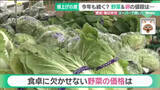 「白菜とホウレンソウが去年の半額、卵も値下がり　愛知のスーパーに聞くお買い得な食材」の画像1