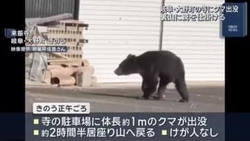 寺にクマが出没　約2時間半居座る　地元の猟友会らが裏山に罠を設置　岐阜県大野町