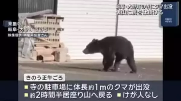 寺にクマが出没　約2時間半居座る　地元の猟友会らが裏山に罠を設置　岐阜県大野町