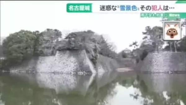 名古屋城の石垣が“真っ白”に…犯人は飛来したカワウ　背景にボラの遡上と絶好の住環境　頭抱える職員