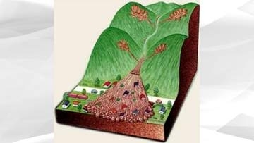 新しい防災気象情報　土砂災害の情報　いきなりレベル4もありえる【暮らしの防災】