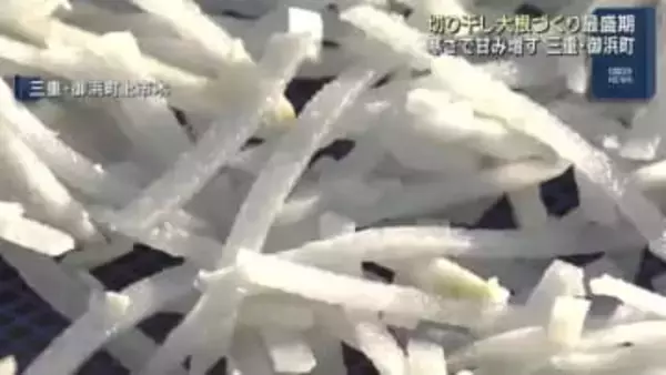 寒さで甘み増す…切り干し大根づくり最盛期　山から吹き下ろす風でおいしく仕上がり　三重