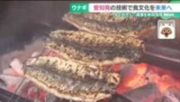 限りあるウナギ資源の保護につなげる　身が大きくてふっくらした愛知発の新ブランド「葵うなぎ」