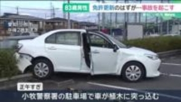 免許更新に来た車が警察署の植木に突っ込む　運転してい83歳の男性は免許を更新せずに返納　愛知県小牧市