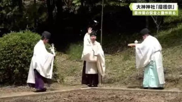 農作業の安全と豊作祈る　大神神社「播種祭」