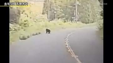 ツキノワグマに注意！ 県ホームページ　目撃情報をマップで公開