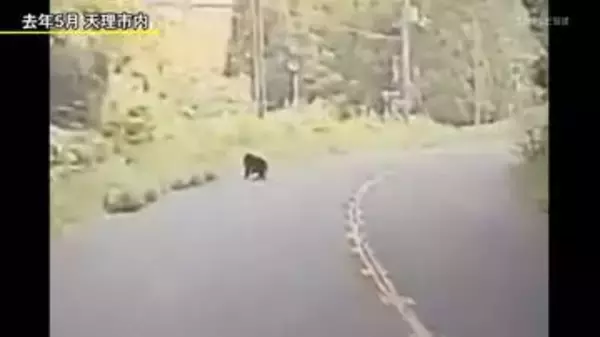 ツキノワグマに注意！ 県ホームページ　目撃情報をマップで公開