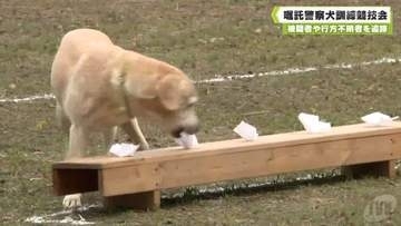被疑者や行方不明者を追跡　嘱託警察犬訓練競技会