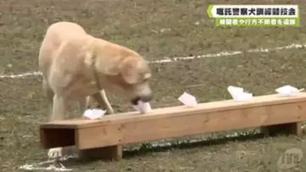 被疑者や行方不明者を追跡　嘱託警察犬訓練競技会