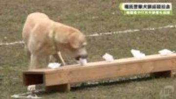 被疑者や行方不明者を追跡　嘱託警察犬訓練競技会