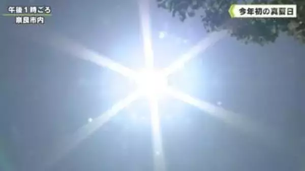 ２０２６年初の真夏日