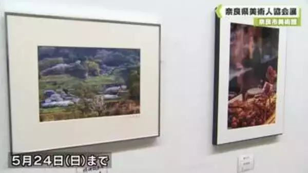奈良市美術館　奈良県美術人協会展