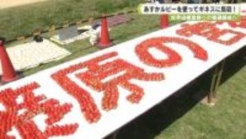 世界遺産登録への機運醸成へ　あすかルビーを使ってギネスに挑戦！