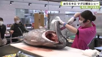 食の楽しさを知る　約５６キロ　マグロ解体ショー