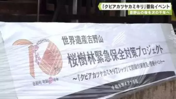 吉野山の桜を次の千年へ　「クビアカツヤカミキリ」啓発イベント