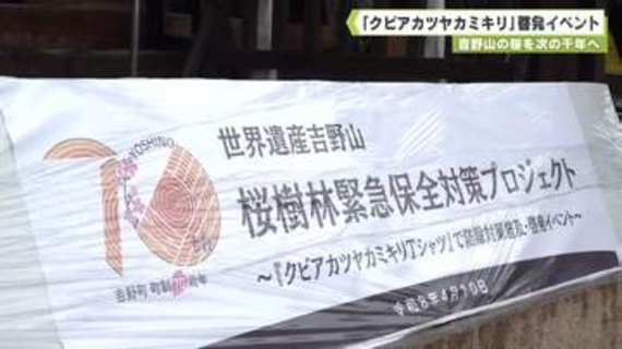 吉野山の桜を次の千年へ　「クビアカツヤカミキリ」啓発イベント