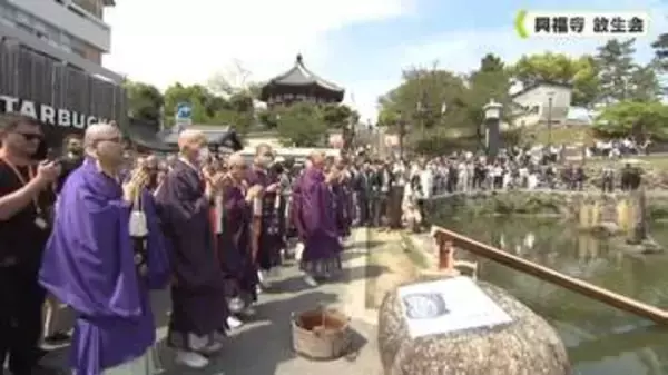 いのちに感謝し魚を池に放つ　興福寺　放生会　奈良