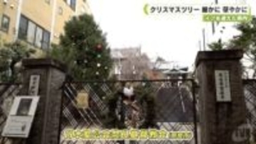 イブを迎えた県内　クリスマスツリー　厳かに　華やかに