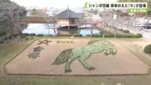 ジャンボ花絵　来年のえと「午」が登場　奈良