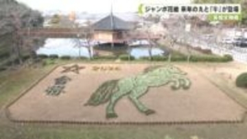 ジャンボ花絵　来年のえと「午」が登場　奈良
