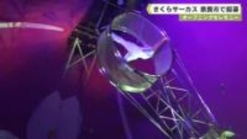 オープニングセレモニー　さくらサーカス　奈良市で開幕